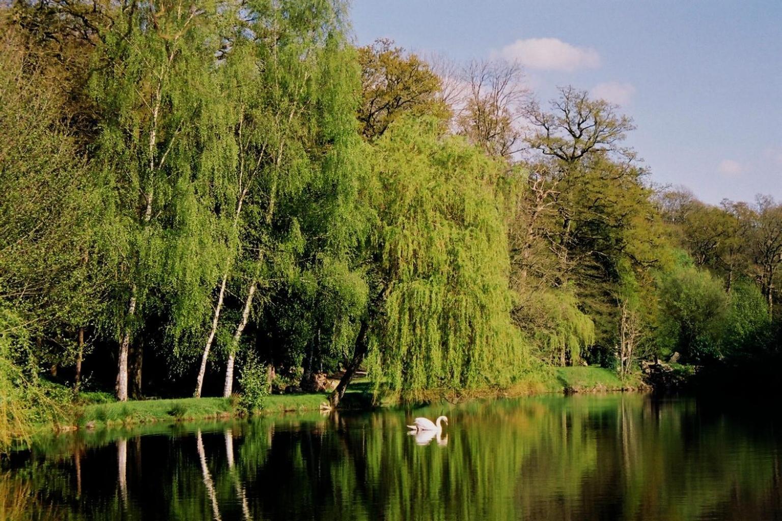 Cit'Hotel Le Relais Du Boisniard Chambretaud ภายนอก รูปภาพ